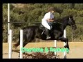 Charlotte & Romero .. 80cm competition .. Alegria