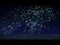 Horses // Wishing On A Star