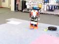videos de WEASEL動作検証