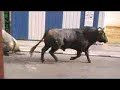 coku y jose encierro arganda�08