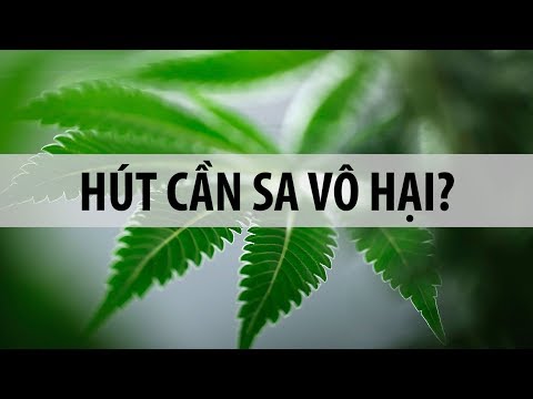 Cần sa có thực sự vô hại như nhiều người vẫn nghĩ?