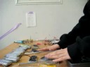 theredyne prototype