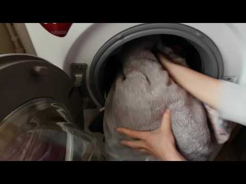LG F4J5TN3W 8kg A+++ Washing Machine Review