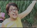 Aspásia Camargo - favelização