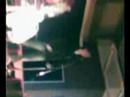 Gelsamel Live Gelsamel Live