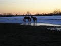 Azimut et Tonnerre dehors Azimut et Tonnerre dehors