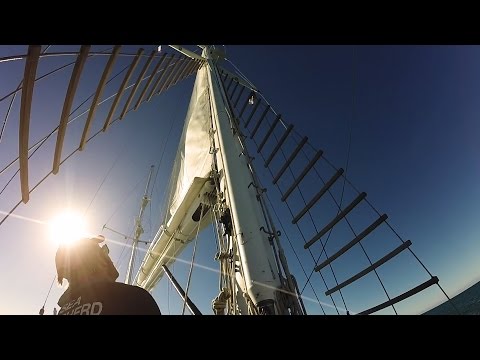 Operation Milagro II: Vlog 03 - Sailing with Dolphins