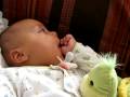 videos de Bebes mellizos