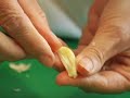 Martha Rose Shulman Peels, Slices & Minces Garlic Martha Rose Shulman Peels, Slices & Minces Garlic
