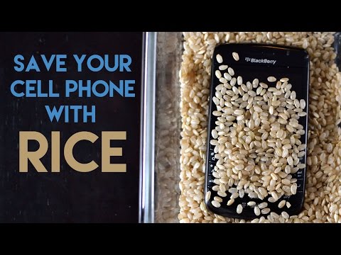 how to fix water damaged phone