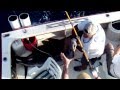 Landing a Sailfish
