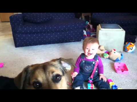 hund - Hund frisst Seifenblase und Baby dreht durch! Keywords: Microsoft, Internet Explorer, Windows and the Windows/ IE logo are either registered trademarks or tr...