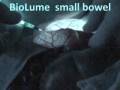 Small Bowel Anastomosis