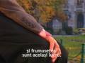 videos de Poţi ajuta? Sigur că da (română, scurt)