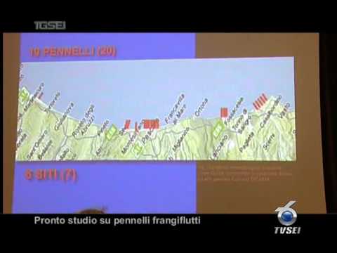 Pronto studio su pennellli frangiflutti.mpg