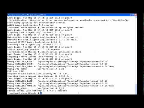 how to patch avaya system platform