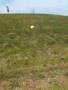 Baby rolls down the hill