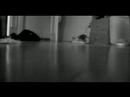 corto para el ramo de redaccion creativa 2007

musica : rolfe kent - helen goes, schmidt stays. (about schmidt ost)