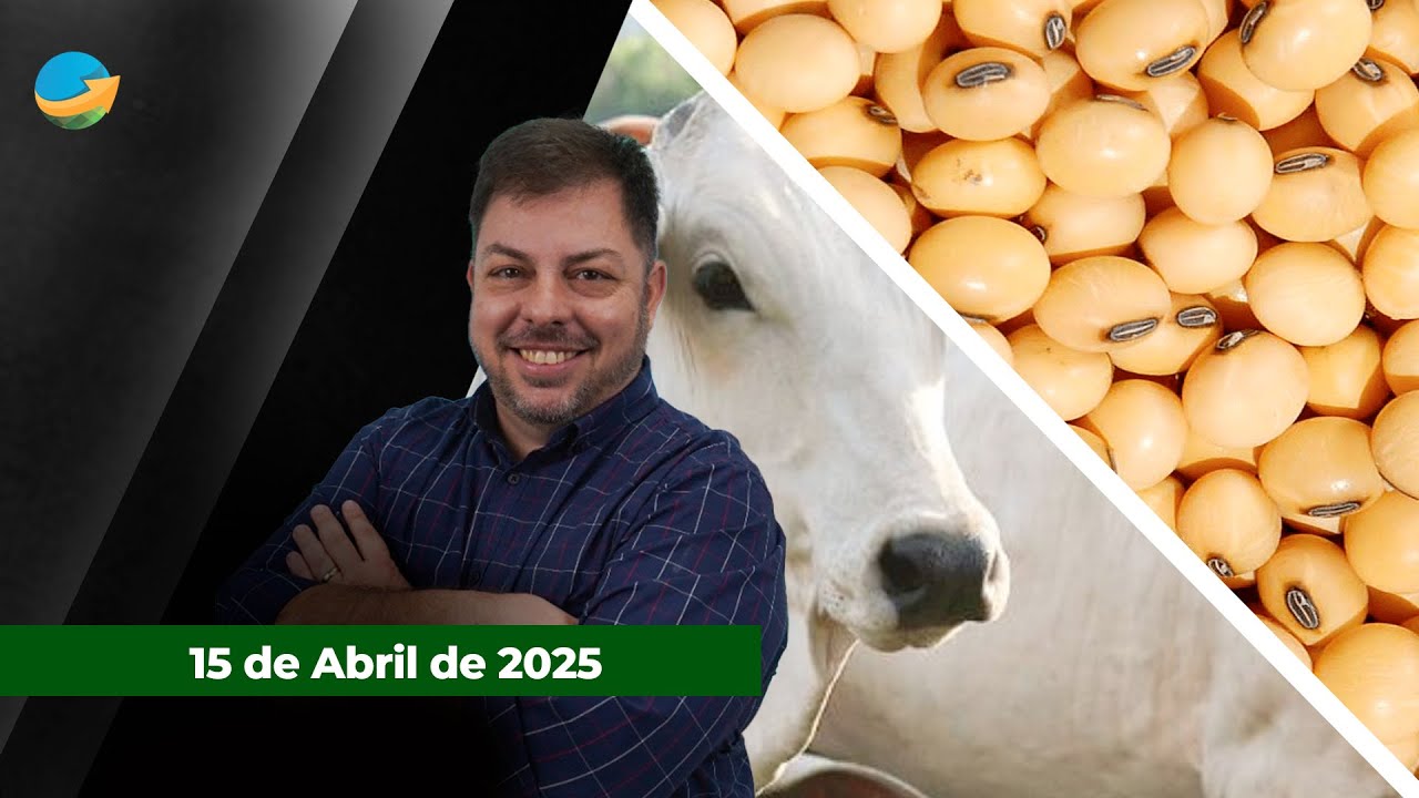 China mantém demanda aquecida pela soja brasileira e deixa preços em reais equilibrados; negocia...