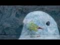 Svalbard bilder