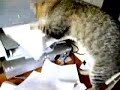 Printer Problems