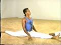 Mastering Capoeira 1. Conditioning (2 of 4)