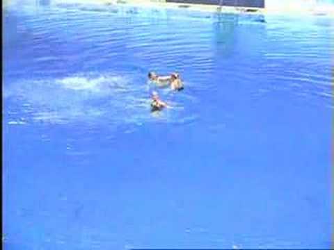 United States Synchronized Swimming Team