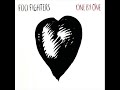 foo-fighters-low.html