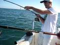 bollakido de breicon subiendo una corvina en barco del cartero junquero