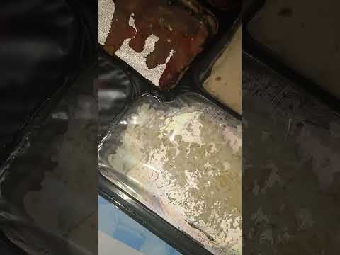 Zomato - Today I had order a panner thali from... - Image 2