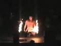 Polynesian Festival 3