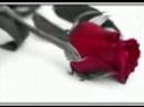 pour vous mes amies fidelle pour vous mes amies fidelle