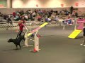 Great Dane MACH Mr. Bojangles AKC Agility Invitational 2007