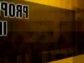 Rentals Century 21 Birchwood International