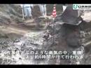 ザトウクジラ