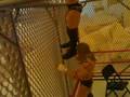 wwe figures Randy Orton Vs Triple H