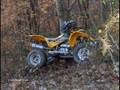 Sick-ATV-s