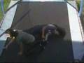 US! Wrestling (UNEDIT) PART 1