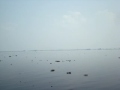 Indian Backwaters Kerala Indian Backwaters Kerala