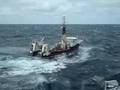 Bering Sea Clip
