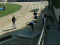 track and feild 2004