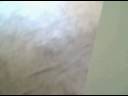 774 PEACH ST SELMER TENNESSEE INTERIOR OF HOUSE FOR SALE-Nov 19 2008 - VID00020