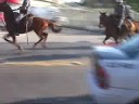 bonde dos brabos vs tti a retomada .são paulo palmeiras13 06 bonde dos brabos vs tti a retomada .são paulo palmeiras13 06