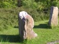 Der Steinkreis von Geyersberg im Dunkelsteinerwald (Niederösterreich) ist die masstabgestreue Nachbildung eines keltischen Steinkreises, wie es auch Stonehenge war. Keltische Kultplätze werden auch Nemeton genannt, wobei ihre genaue Bedeutung nicht restlos geklärt ist. Heutzutage werden diese Orte von vielen Menschen auch als Kraftort angesehen und besucht. Dieser Steinkreis wurde 1989 von Prof. Wilhelm Cerveny errichtet und kann ganzjährig besucht werden. Mehr Informationen finden Sie auf unserem Blog unter http://dunkelsteinerwald.wordpress.com/