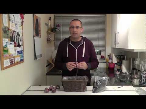 how to care hyacinth