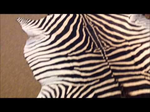 how to skin a zebra