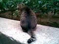 ??3