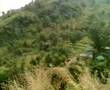 we at rukmani kund