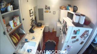 Cleaning the Kitchen Time Lapse