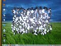 Beryl 2.0, Running 3D applications and games with Xgl Beryl 2.0, Running 3D applications and games with Xgl